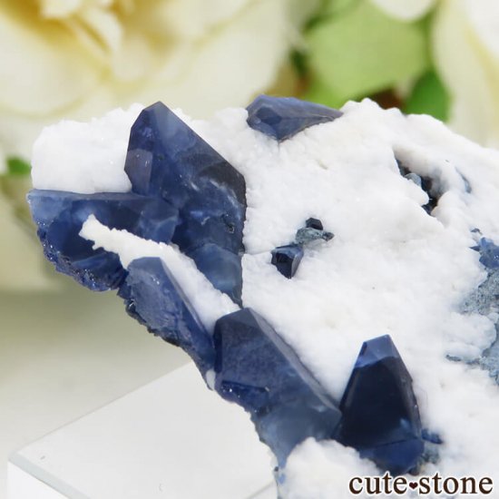 ե˥ ٥˥ȥȤդ뾽ʸС 13.1gμ̿3 cute stone