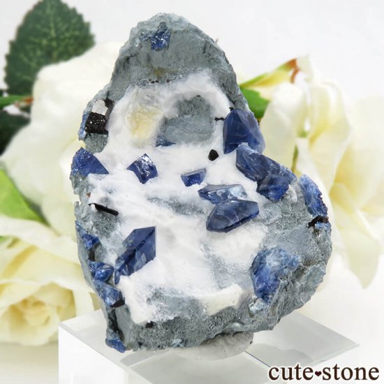 ե˥ ٥˥ȥȡͥץʥȤդ뾽ʸС 16.7gμ̿0 cute stone