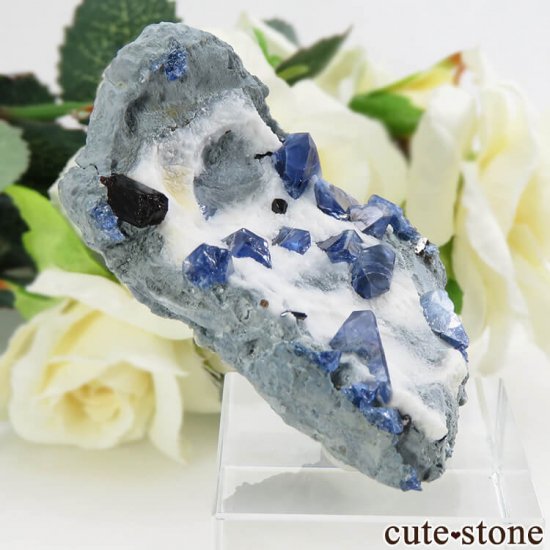 ե˥ ٥˥ȥȡͥץʥȤդ뾽ʸС 16.7gμ̿1 cute stone