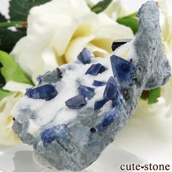 ե˥ ٥˥ȥȡͥץʥȤդ뾽ʸС 16.7gμ̿3 cute stone
