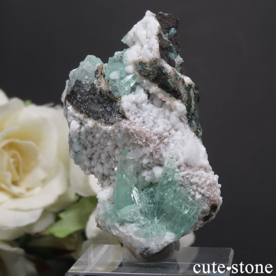  ץ͡ ꡼󥢥ݥե饤Ȥθ 19gμ̿2 cute stone