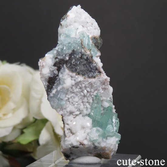  ץ͡ ꡼󥢥ݥե饤Ȥθ 19gμ̿3 cute stone