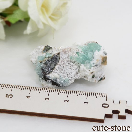  ץ͡ ꡼󥢥ݥե饤Ȥθ 19gμ̿4 cute stone