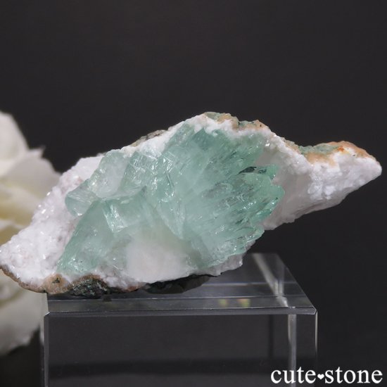  ץ͡ ꡼󥢥ݥե饤Ȥθ 15gμ̿1 cute stone