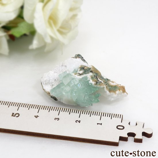  ץ͡ ꡼󥢥ݥե饤Ȥθ 15gμ̿3 cute stone