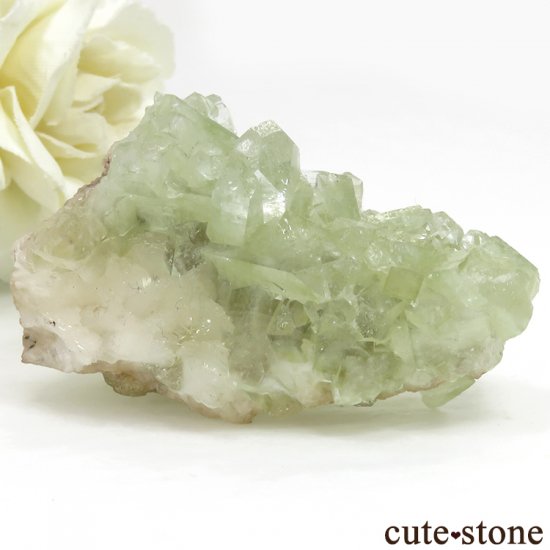  ޥɥʥ ꡼󥢥ݥե饤Ȥθ47.9gμ̿0 cute stone