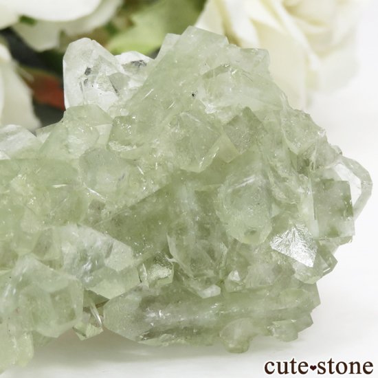  ޥɥʥ ꡼󥢥ݥե饤Ȥθ47.9gμ̿2 cute stone