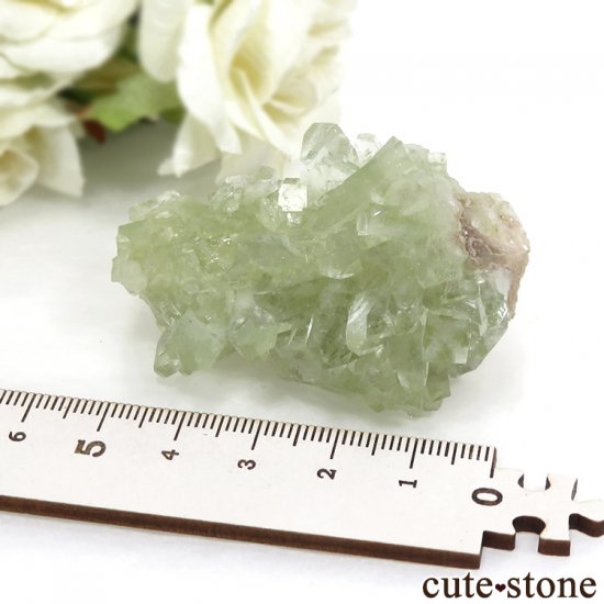  ޥɥʥ ꡼󥢥ݥե饤Ȥθ47.9gμ̿4 cute stone