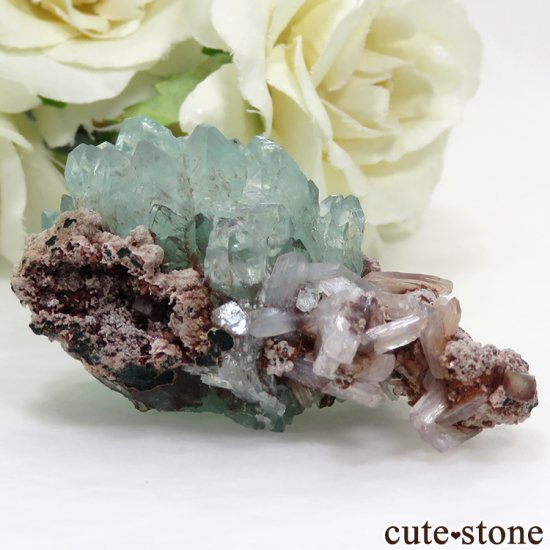  ס뻺 ꡼󥢥ݥե饤Ȥθ32.6gμ̿0 cute stone
