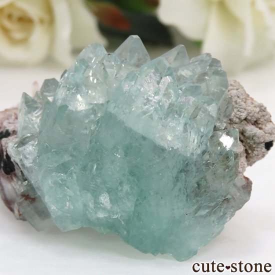  ס뻺 ꡼󥢥ݥե饤Ȥθ32.6gμ̿1 cute stone