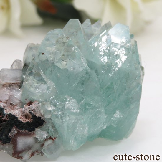  ס뻺 ꡼󥢥ݥե饤Ȥθ32.6gμ̿2 cute stone