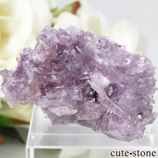 ʻ ꡼(꡼)θ 20gμ̿0 cute stone