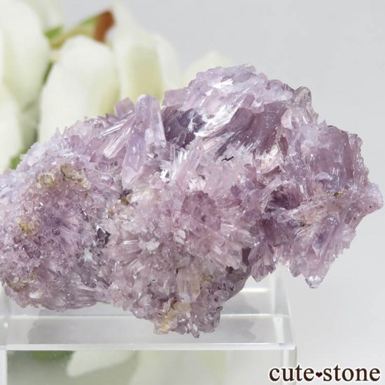 ʻ ꡼(꡼)θ 20gμ̿1 cute stone