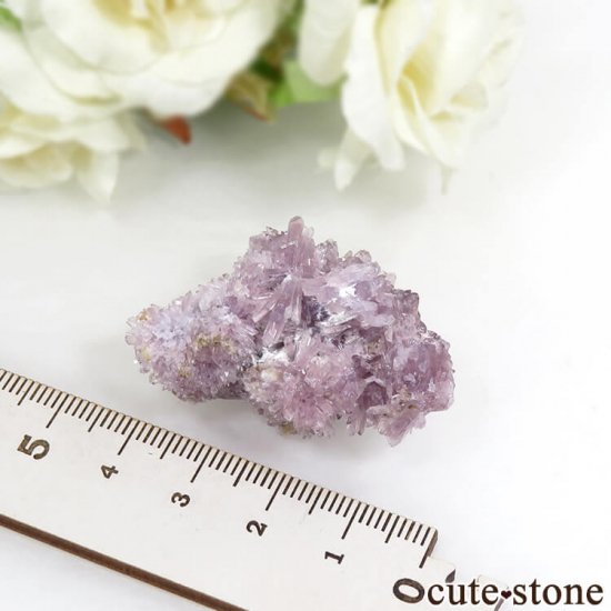 ʻ ꡼(꡼)θ 20gμ̿4 cute stone