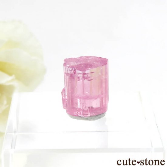 ե˥ ԥ󥯥ȥޥη뾽ʸС6.4ctμ̿0 cute stone