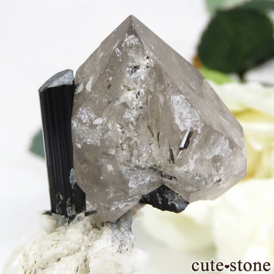 ѥ ɥ ֥åȥޥ⡼Ĥθ 22.2gμ̿1 cute stone