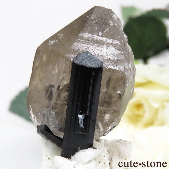 ѥ ɥ ֥åȥޥ⡼Ĥθ 22.2gμ̿2 cute stone