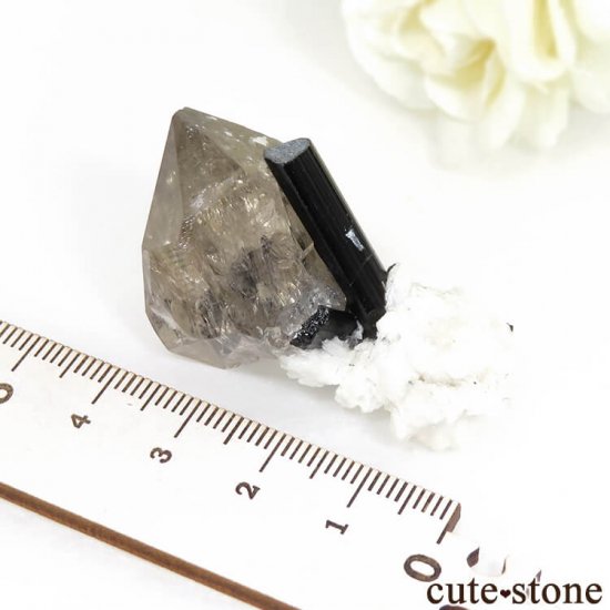 ѥ ɥ ֥åȥޥ⡼Ĥθ 22.2gμ̿4 cute stone