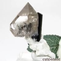 ѥ ɥ ֥åȥޥ⡼Ĥθ 22.2gβ