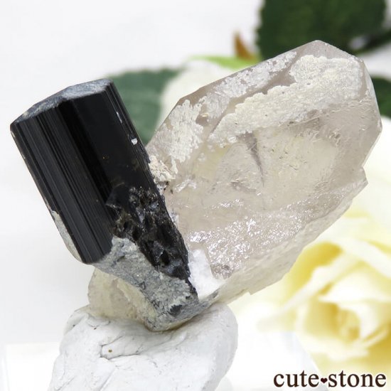 ѥ ɥ ֥åȥޥ⡼Ĥθ 12gμ̿0 cute stone
