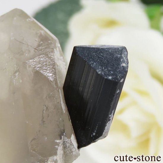 ѥ ɥ ֥åȥޥ⡼Ĥθ 12gμ̿1 cute stone