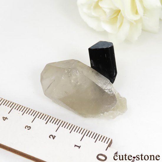ѥ ɥ ֥åȥޥ⡼Ĥθ 12gμ̿3 cute stone