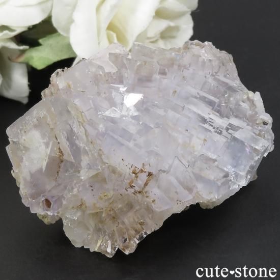 ڥ Emilio Mine ե饤Ȥդ뾽ʸС80gμ̿1 cute stone