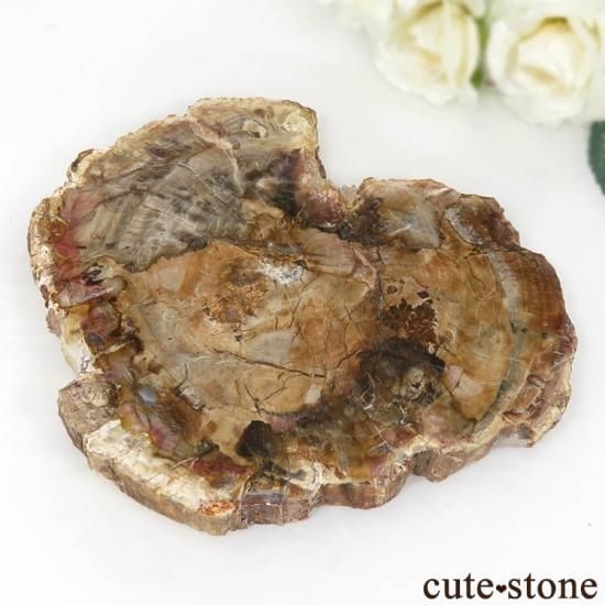ペトリファイドウッド(珪化木)のスライス 243g - cute stone - ペトリファイドウッド(珪化木)のスライス 243g - cute stone -