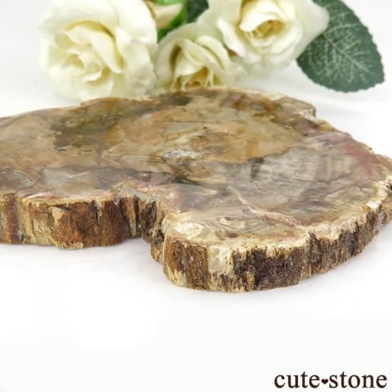 ハート型!ペトリファイドウッド(珪化木)のスライス 243gの写真1 cute stone