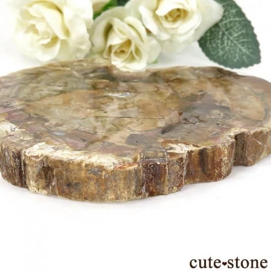 ハート型!ペトリファイドウッド(珪化木)のスライス 243gの写真2 cute stone