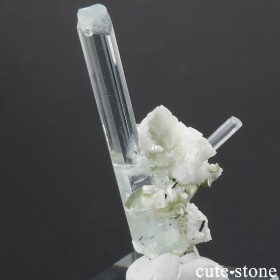 ѥ ɥ ޥη뾽ʸС7.2gμ̿2 cute stone