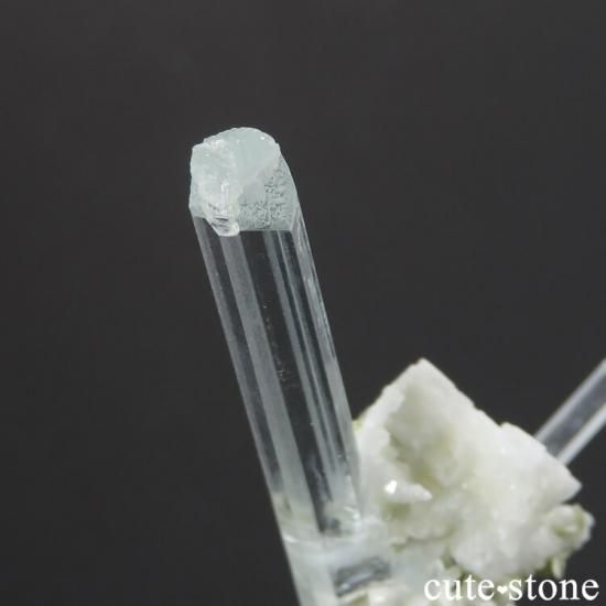 ѥ ɥ ޥη뾽ʸС7.2gμ̿3 cute stone