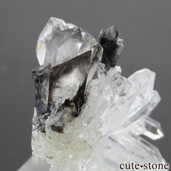 ѥ ץʥġʥ֥åȡ륤󥯥ġˤθ 7.7gμ̿0 cute stone