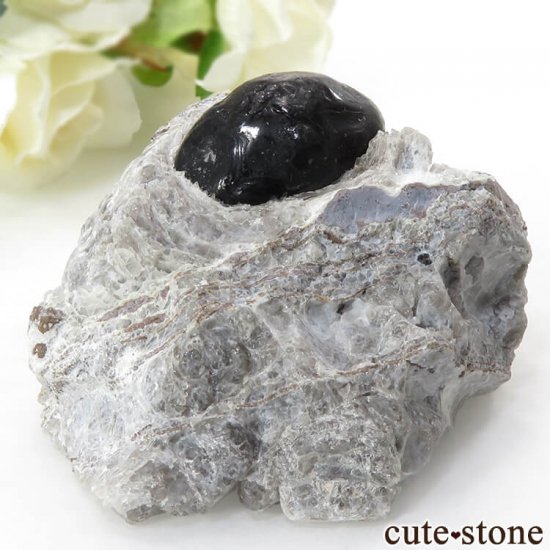 ꥾ʽ ֥ǥʥѥåƥѥåޡ108gμ̿0 cute stone
