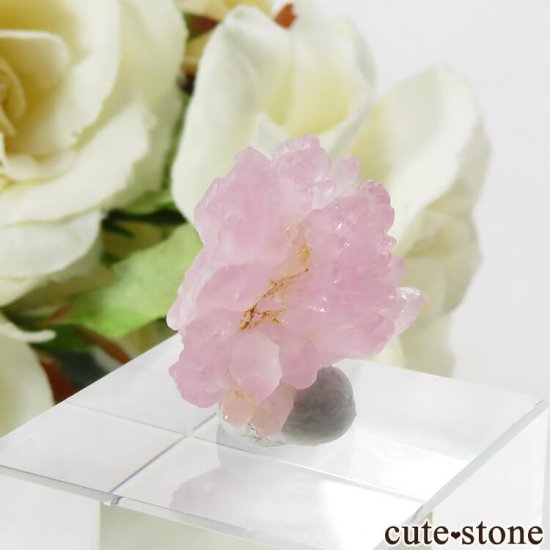 ֥饸 ߥʥ饤 Ĥη뾽 4.2gμ̿2 cute stone