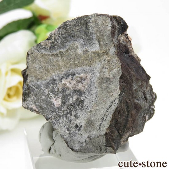 ڥ롼 ɥȡʥ󥫥ˤդ뾽ʸС 48.8gμ̿3 cute stone