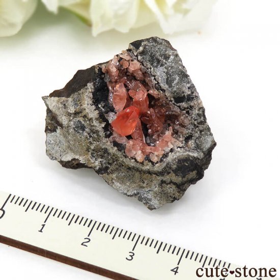 ڥ롼 ɥȡʥ󥫥ˤդ뾽ʸС 48.8gμ̿4 cute stone