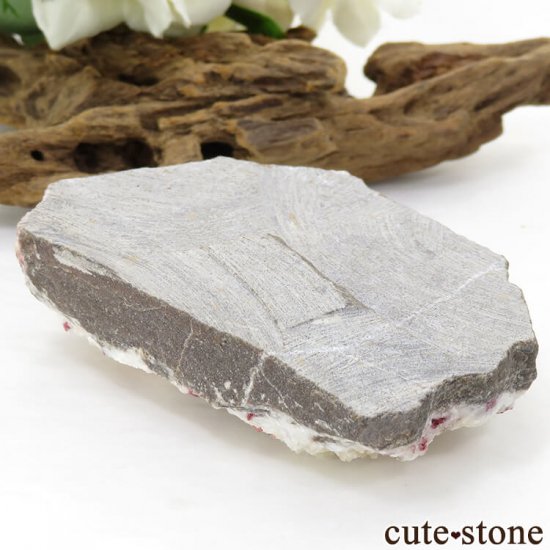 äʥ󥷥˥ʥСդ 144.9gμ̿0 cute stone