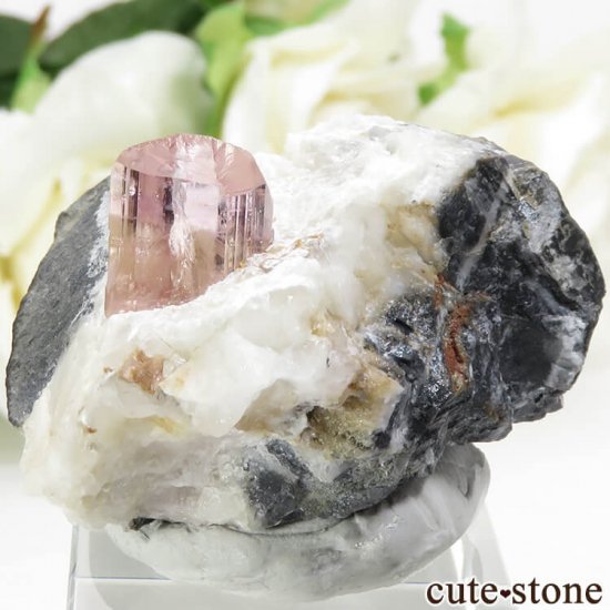 ѥ åȥ ԥ󥯥ȥѡ (ڥꥢȥѡ)դ뾽 () 34.8gμ̿2 cute stone