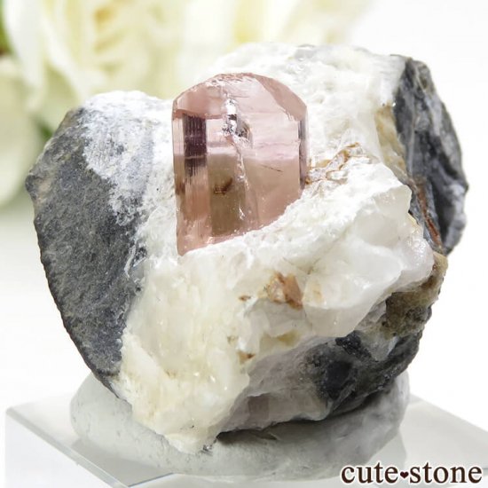 ѥ åȥ ԥ󥯥ȥѡ (ڥꥢȥѡ)դ뾽 () 34.8gμ̿3 cute stone