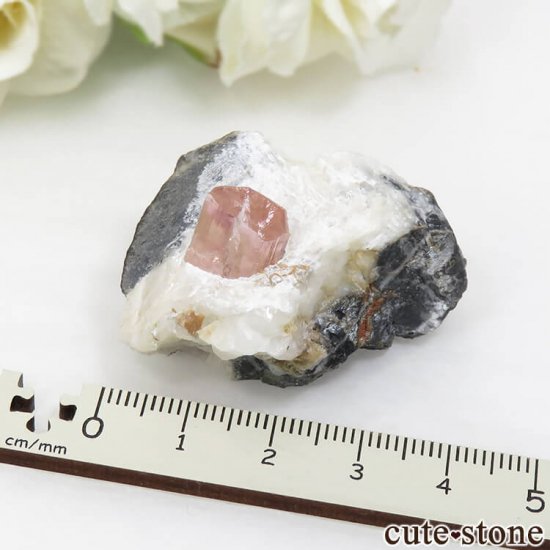 ѥ åȥ ԥ󥯥ȥѡ (ڥꥢȥѡ)դ뾽 () 34.8gμ̿6 cute stone