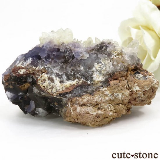 ѥ Х󽣻 ѡץ֥롼ե饤ȡ륵Ȥθ 155gμ̿0 cute stone