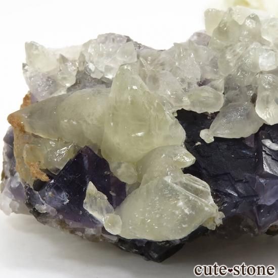 ѥ Х󽣻 ѡץ֥롼ե饤ȡ륵Ȥθ 155gμ̿1 cute stone