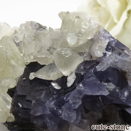 ѥ Х󽣻 ѡץ֥롼ե饤ȡ륵Ȥθ 155gμ̿2 cute stone