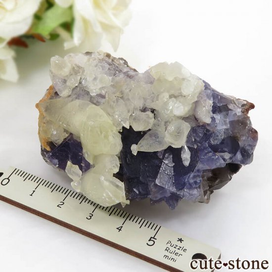 ѥ Х󽣻 ѡץ֥롼ե饤ȡ륵Ȥθ 155gμ̿4 cute stone