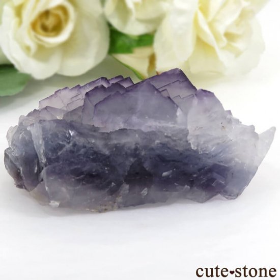 ѥ Х󽣻 ѡץ֥롼ե饤Ȥθ 81.5gμ̿0 cute stone