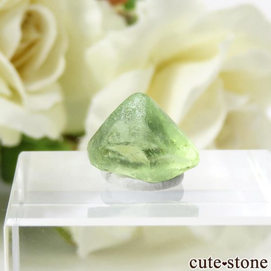ѥ ڥɥåȤη뾽ʸС4.6ctμ̿0 cute stone