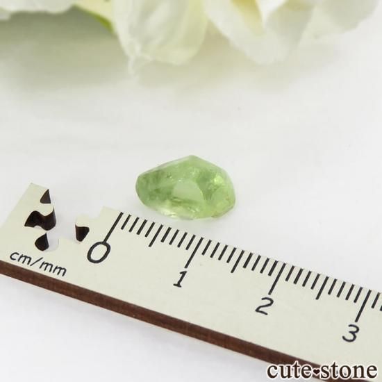 ѥ ڥɥåȤη뾽ʸС4.6ctμ̿1 cute stone