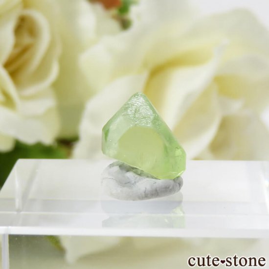 ѥ ڥɥåȤη뾽ʸС3.6ctμ̿0 cute stone