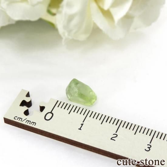 ѥ ڥɥåȤη뾽ʸС3.6ctμ̿1 cute stone